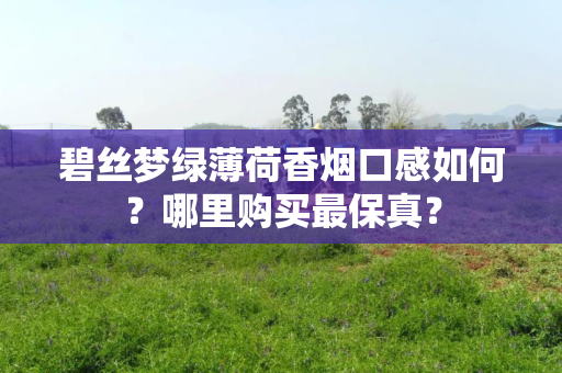 碧丝梦绿薄荷香烟口感如何？哪里购买最保真？